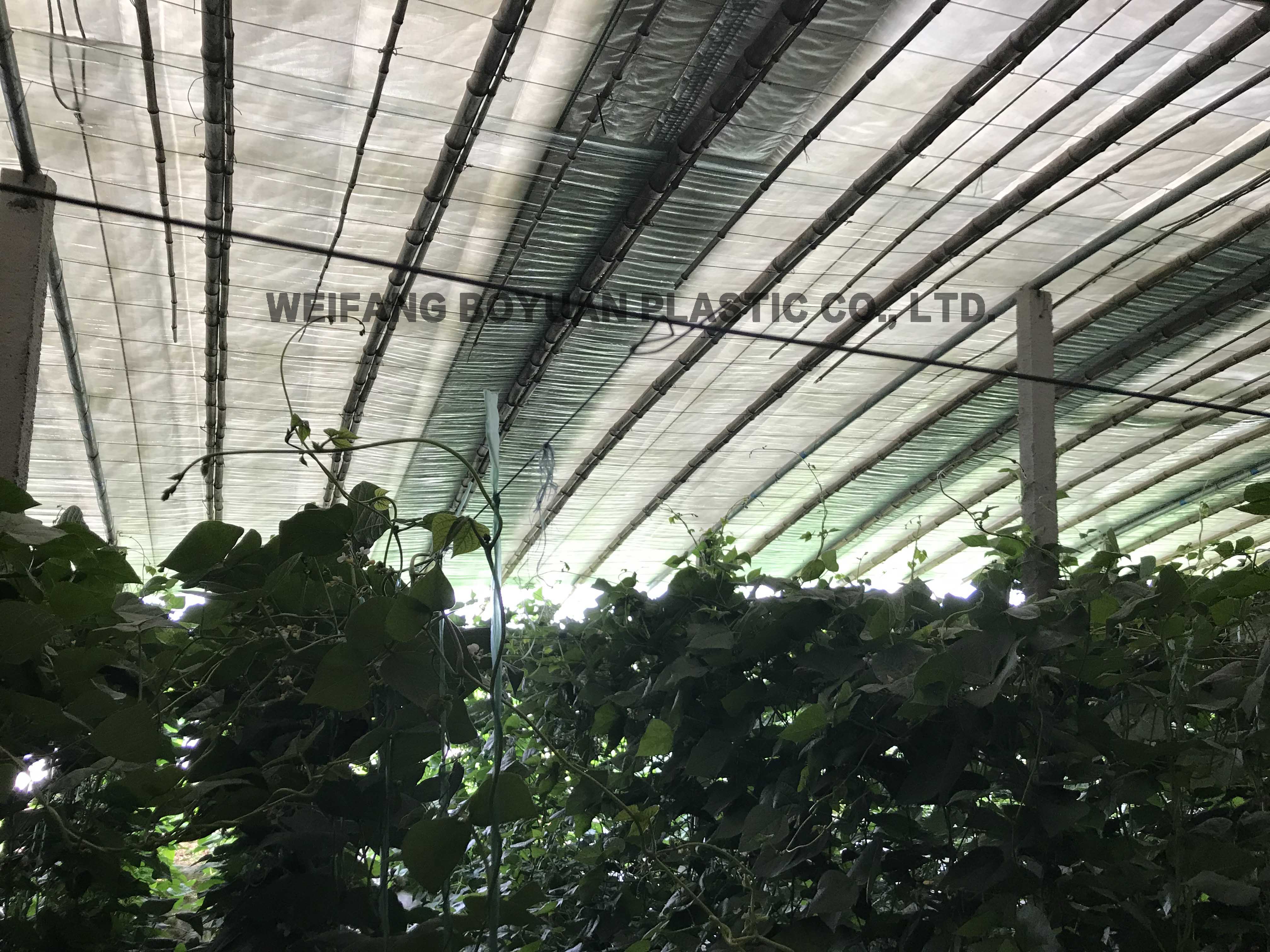 透光棉被pe編織布
